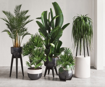 Modern Ground Green Plant Potted Plants-ID:530320887