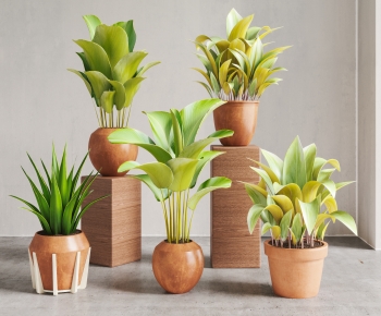 Modern Ground Green Plant Potted Plants-ID:110012053