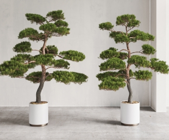 New Chinese Style Ground Green Plant Potted Plants-ID:758249043