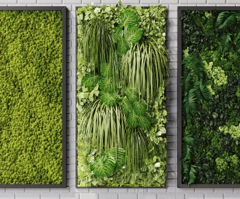 Modern Plant Wall-ID:313230991