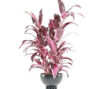 Modern Potted Green Plant-ID:171678075