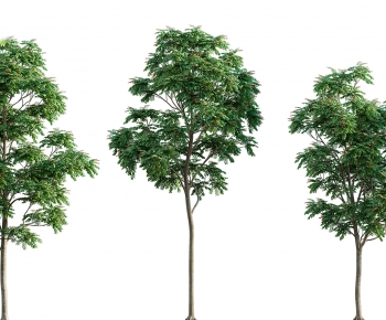 Modern Tree-ID:168684017