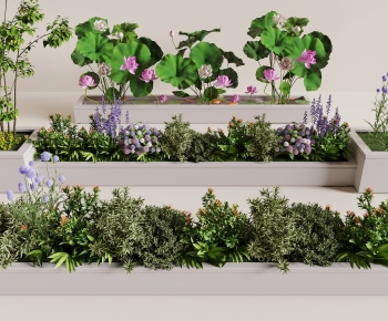 Modern Flower Bed, Flower Bowl, Flower Box-ID:497400876