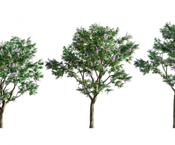 Modern Tree-ID:161333089