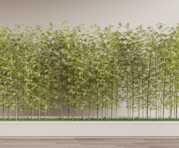 Modern Bamboo-ID:712835073