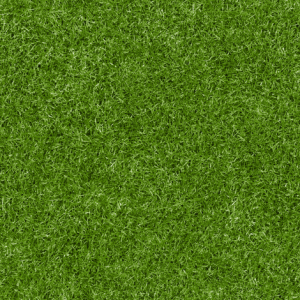 ModernGrass