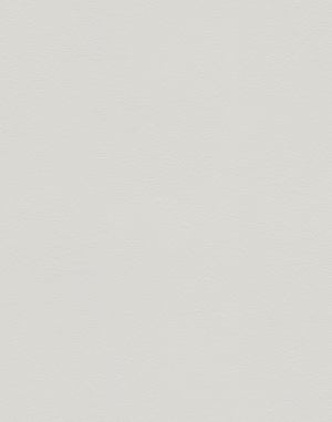 ModernFine Grain Leather