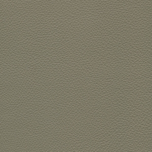 ModernRough Grain Leather