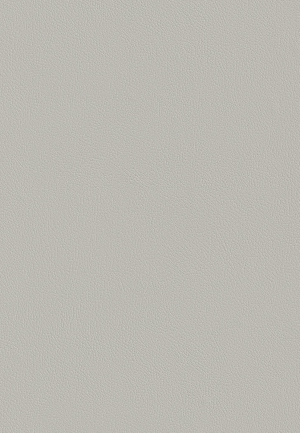 ModernFine Grain Leather