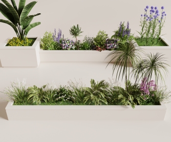 Modern Flower Bed, Flower Bowl, Flower Box-ID:703353884