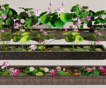 Chinese Style Garden-ID:802869855