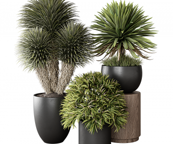 Modern Ground Green Plant Potted Plants-ID:872551921