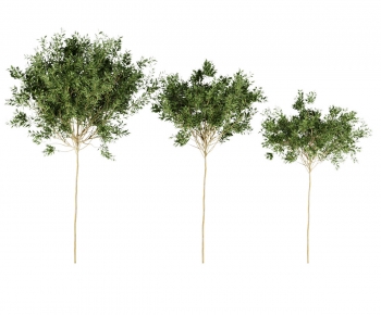 Modern Tree-ID:265077119