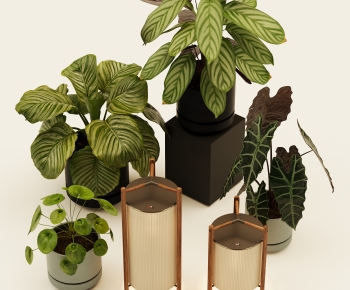 Modern Ground Green Plant Potted Plants-ID:722749959