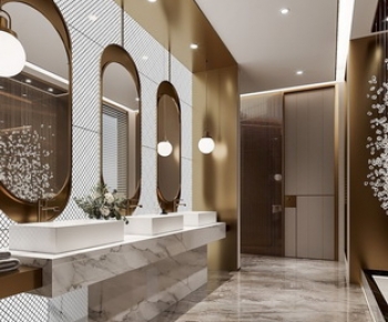 Modern Public Toilet-ID:979764949