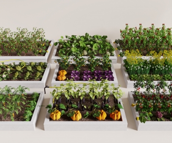 Modern Crop-ID:620021106