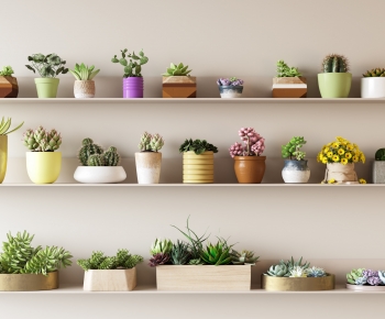 Modern Desktop Plant-ID:671675929