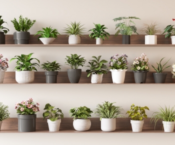 Modern Desktop Plant-ID:449196104