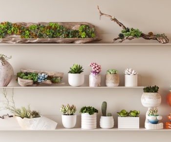 Modern Potted Green Plant-ID:764117962