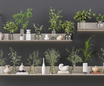 Modern Aquatic Green Plant-ID:856441022