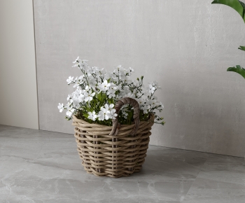 Modern Flower Arrangement-ID:494294887