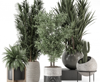 Modern Ground Green Plant Potted Plants-ID:939296011