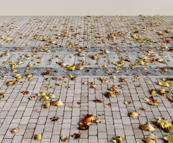 Modern Garden-ID:238112937