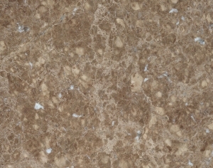 ModernMarble Tiles