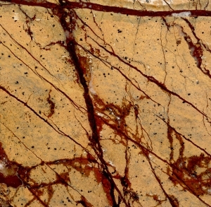 ModernMarble Tiles