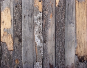 ModernWood Plank