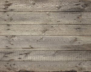 ModernWood Plank