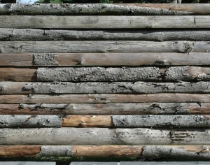 ModernWood Plank