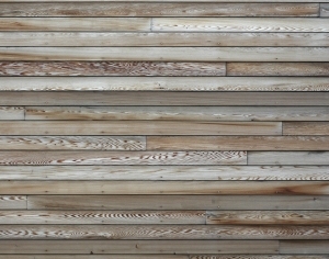 ModernWood Plank