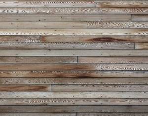 ModernWood Plank