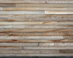 ModernWood Plank