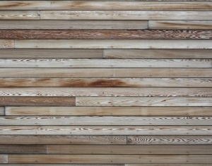 ModernWood Plank