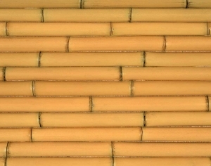 ModernRattan Texture