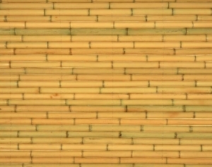 ModernRattan Texture