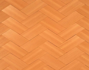 ModernRattan Texture