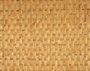 ModernRattan Texture