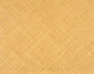 ModernRattan Texture