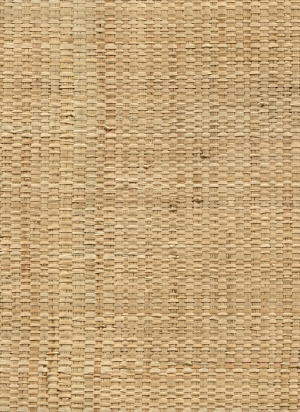 ModernRattan Texture