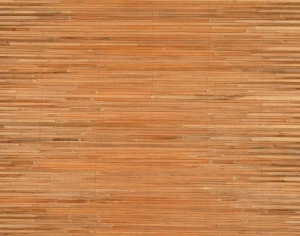 ModernRattan Texture