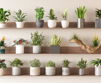 Modern Desktop Plant-ID:143784055