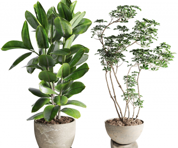 Modern Ground Green Plant Potted Plants-ID:277769677