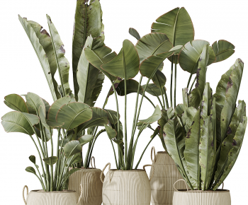 Modern Ground Green Plant Potted Plants-ID:398936997