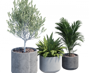 Modern Ground Green Plant Potted Plants-ID:453264951
