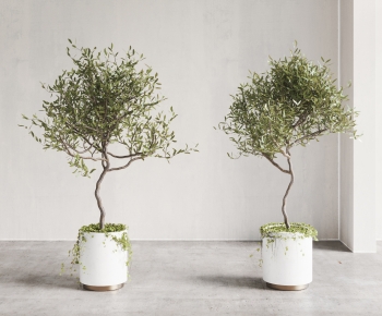 Modern Ground Green Plant Potted Plants-ID:963040117
