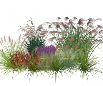 Modern Plant Pile-ID:897758969