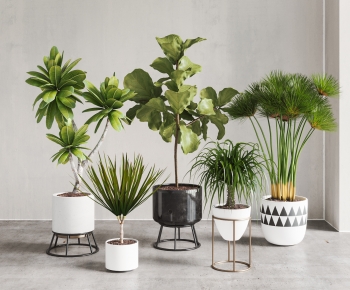 Modern Ground Green Plant Potted Plants-ID:268745902